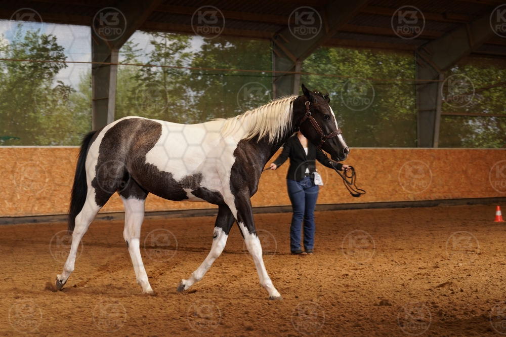 s_A9_07755.jpg